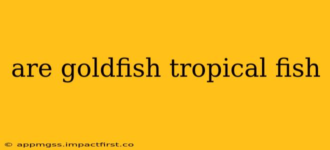 are goldfish tropical fish