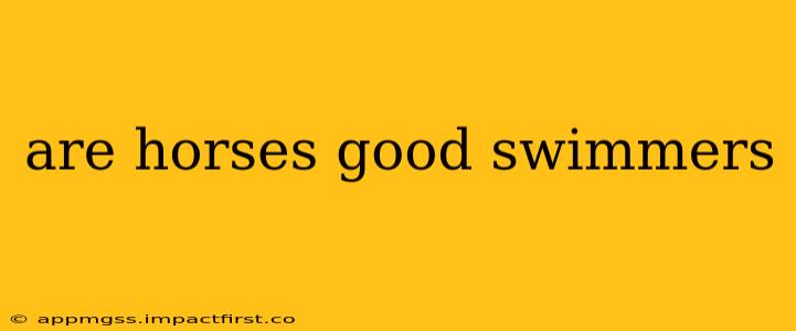 are horses good swimmers