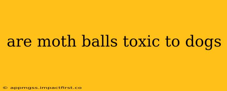 are moth balls toxic to dogs