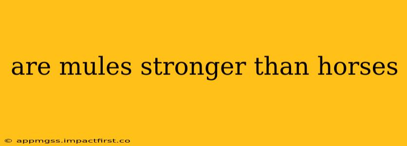 are mules stronger than horses