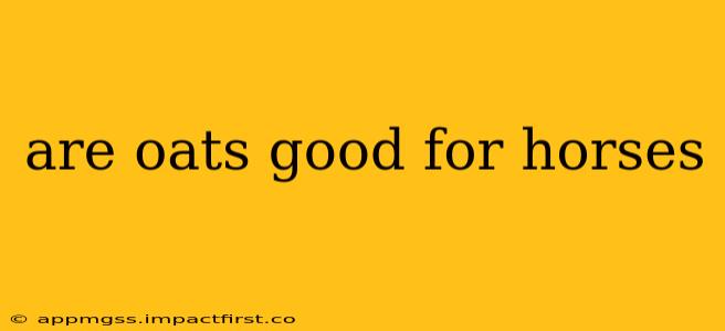 are oats good for horses