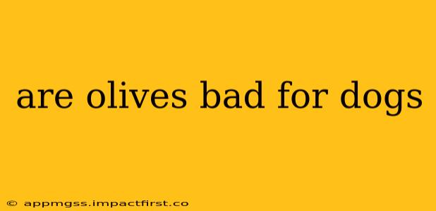 are olives bad for dogs