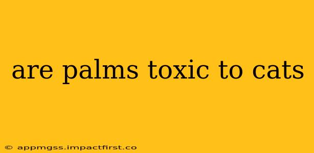 are palms toxic to cats