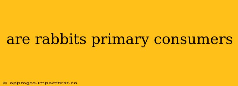 are rabbits primary consumers