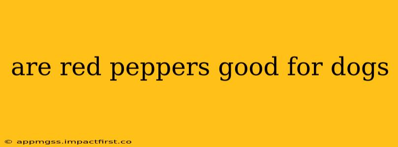 are red peppers good for dogs