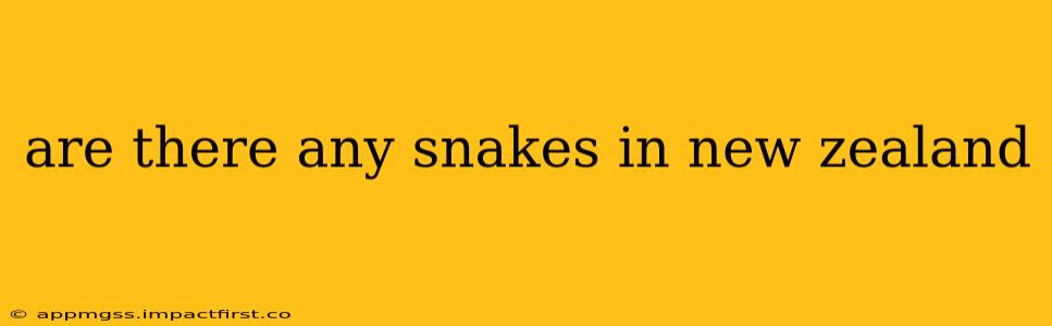 are there any snakes in new zealand