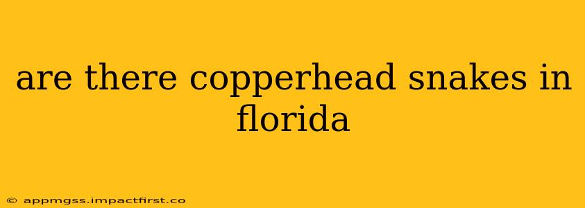 are there copperhead snakes in florida