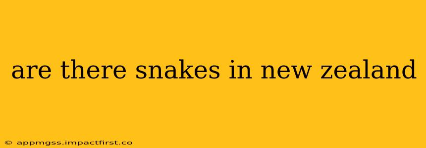 are there snakes in new zealand