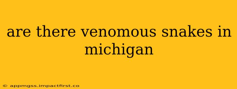 are there venomous snakes in michigan