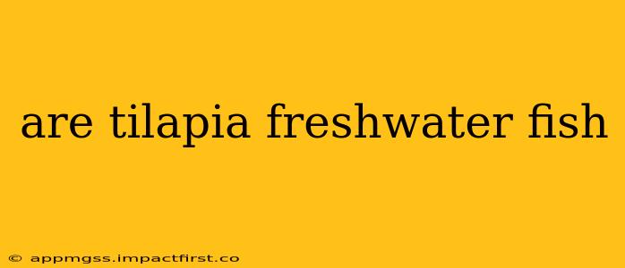 are tilapia freshwater fish
