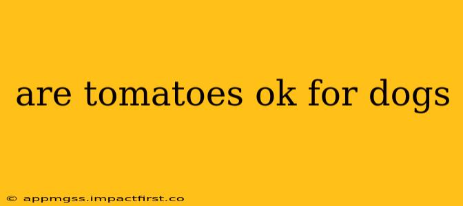 are tomatoes ok for dogs