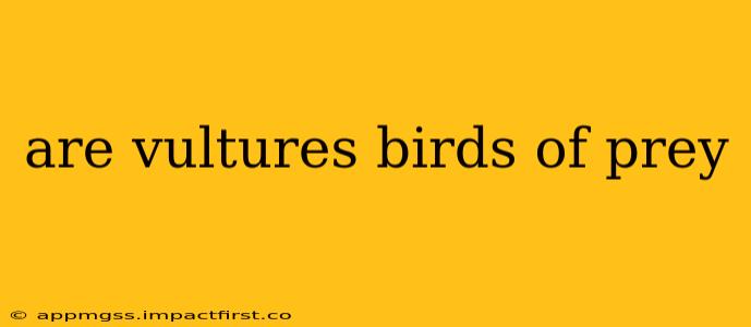 are vultures birds of prey