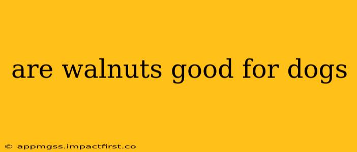 are walnuts good for dogs