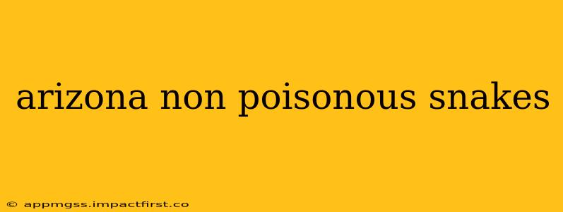 arizona non poisonous snakes