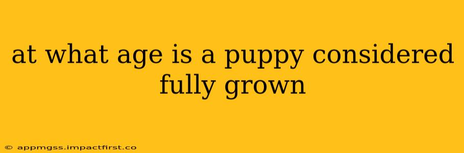 at what age is a puppy considered fully grown