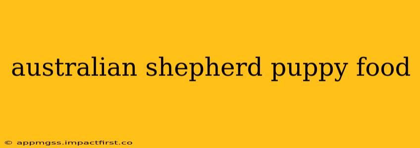 australian shepherd puppy food