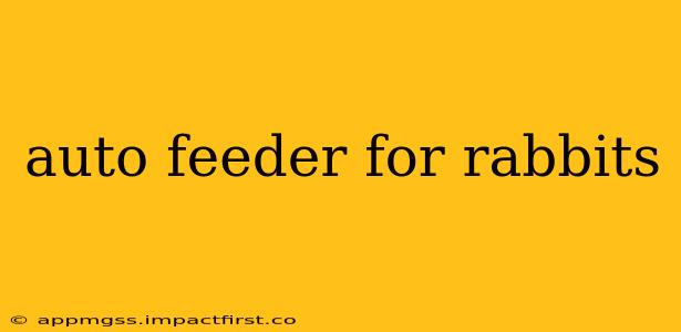 auto feeder for rabbits