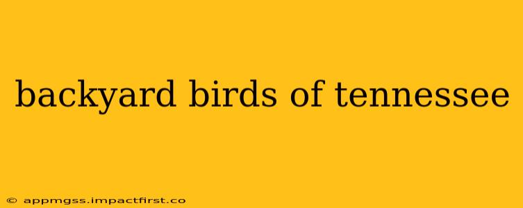 backyard birds of tennessee