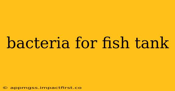 bacteria for fish tank