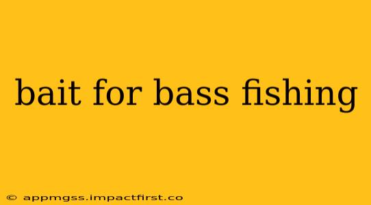bait for bass fishing