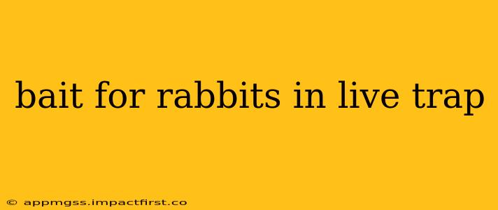 bait for rabbits in live trap