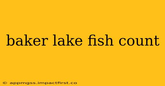 baker lake fish count