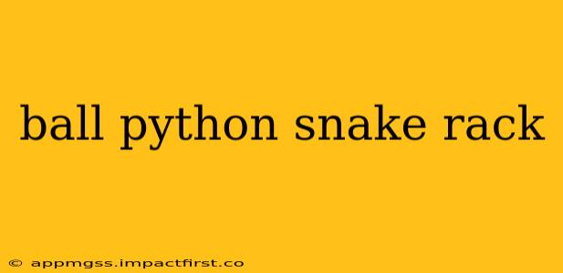 ball python snake rack