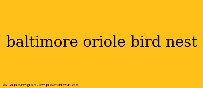 baltimore oriole bird nest