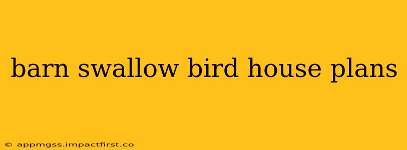 barn swallow bird house plans