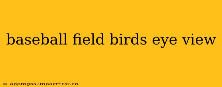 baseball field birds eye view