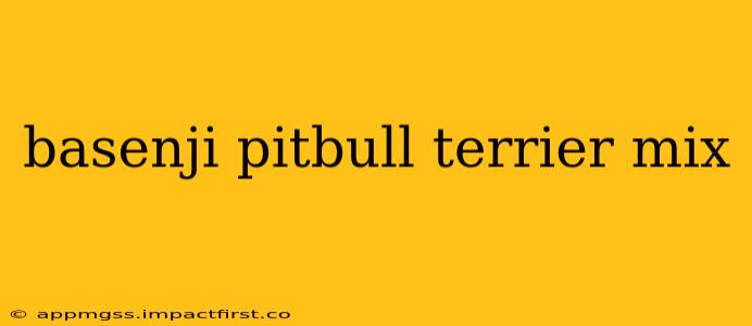basenji pitbull terrier mix