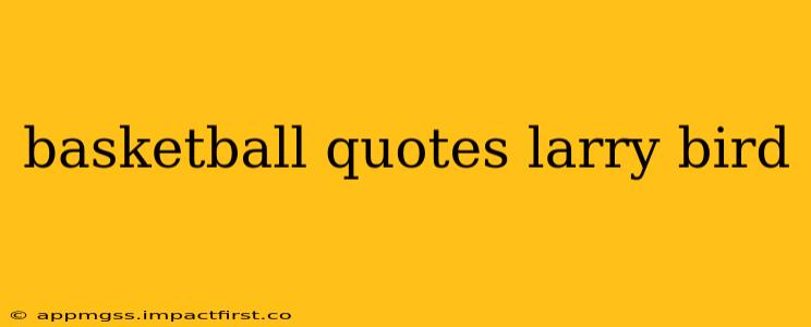 basketball quotes larry bird