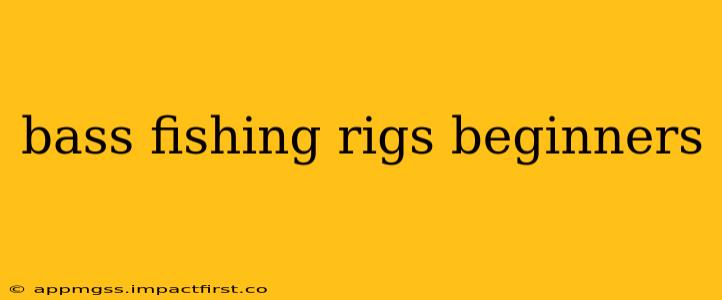 bass fishing rigs beginners
