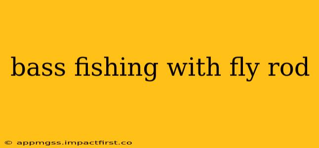 bass fishing with fly rod