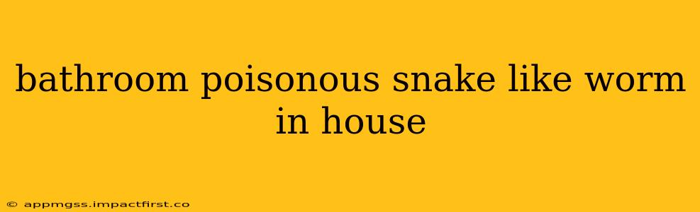 bathroom poisonous snake like worm in house