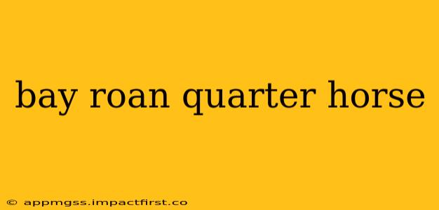 bay roan quarter horse