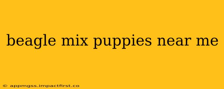 beagle mix puppies near me