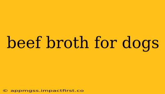 beef broth for dogs