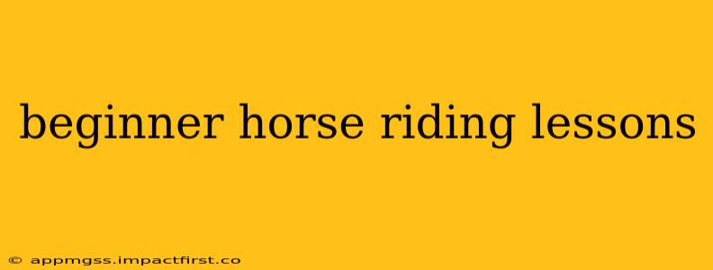beginner horse riding lessons