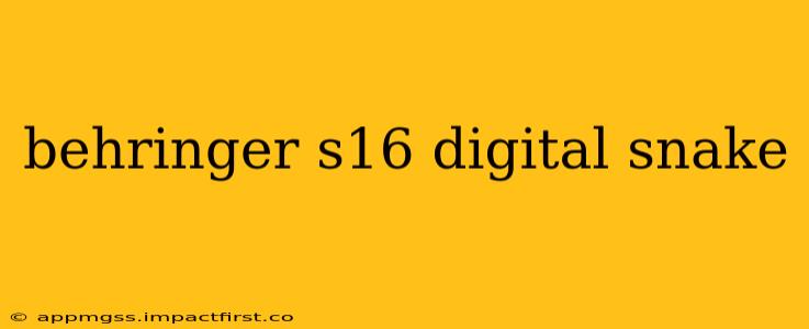 behringer s16 digital snake