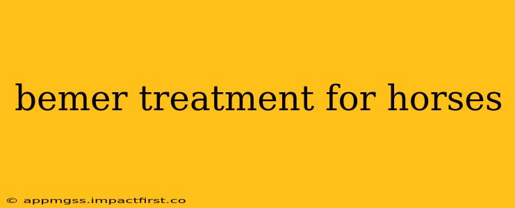 bemer treatment for horses
