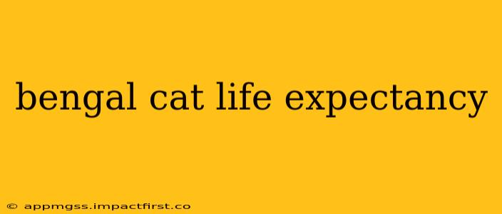bengal cat life expectancy
