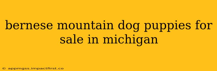 bernese mountain dog puppies for sale in michigan