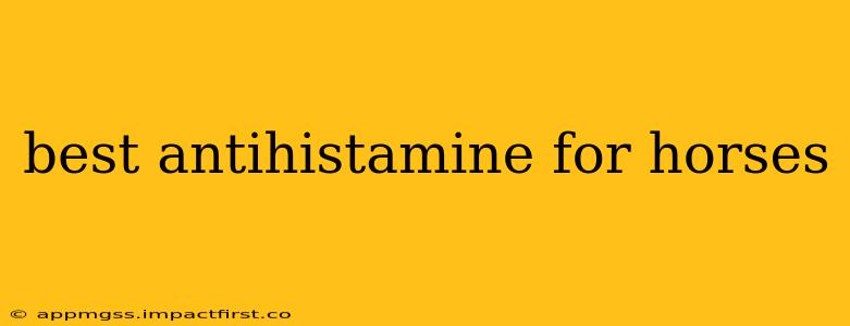 best antihistamine for horses