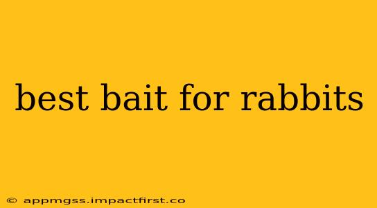 best bait for rabbits