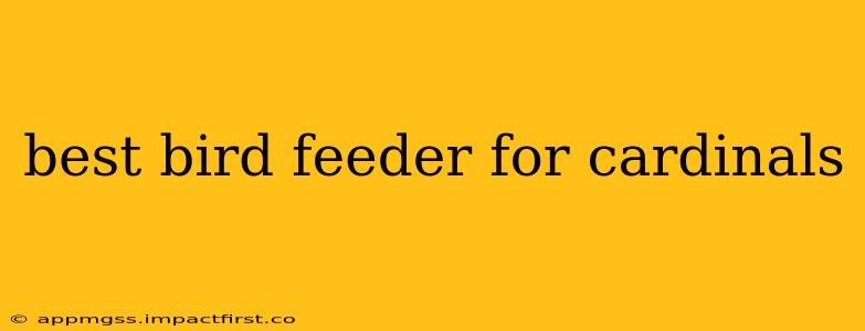 best bird feeder for cardinals