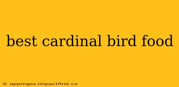 best cardinal bird food
