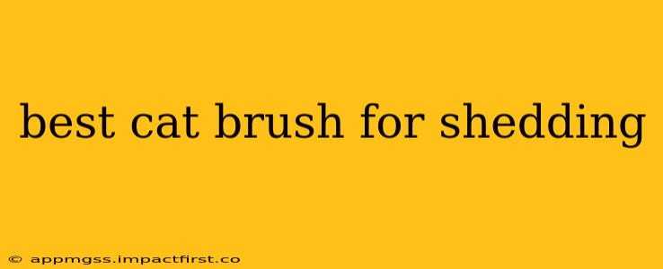best cat brush for shedding