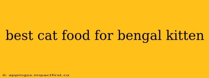 best cat food for bengal kitten