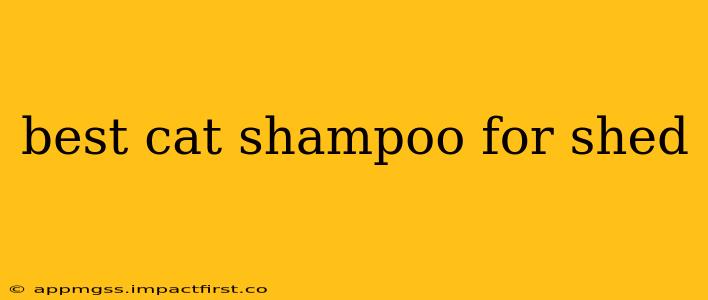 best cat shampoo for shed